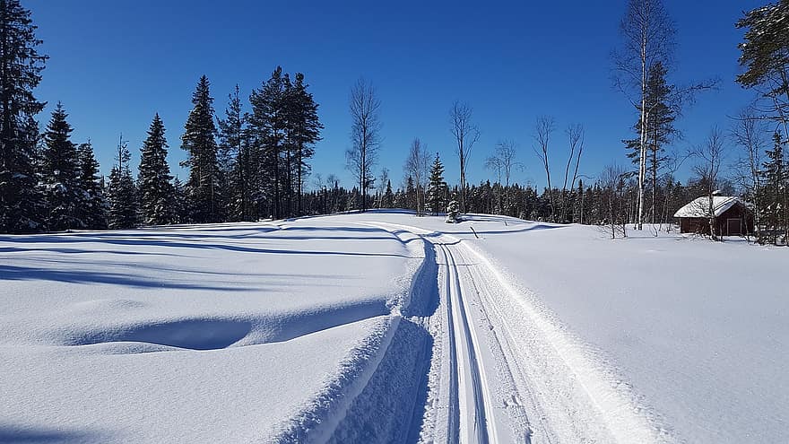 ski lintas negara, salju, musim dingin, kabin, pondok, resor, Jämtland