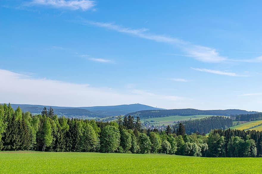 Forest, Ore Mountains, Panorama, Nature, Saxony, Fichtelberg, Outdoors, rural scene, meadow, summer, grass
