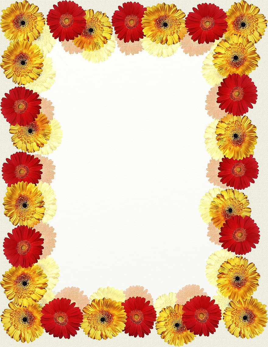 floral cadru, ramă foto, flori, roșu, galben, margaret