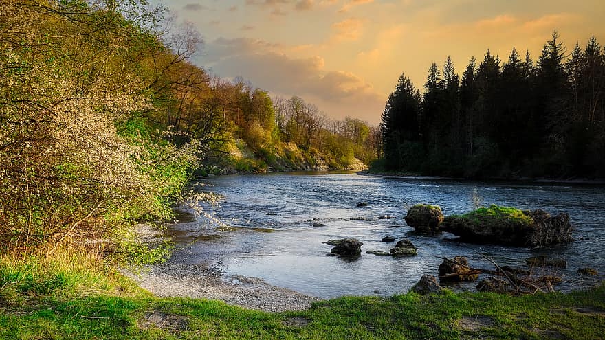 River, Trees, Nature, Forest, Sunset, Riverbank, Leaves, Water, Flow, Lech, Bavaria