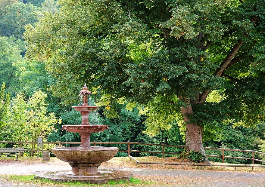 Fontana, natura, viaggio, esplorazione, all'aperto, albero di tiglio