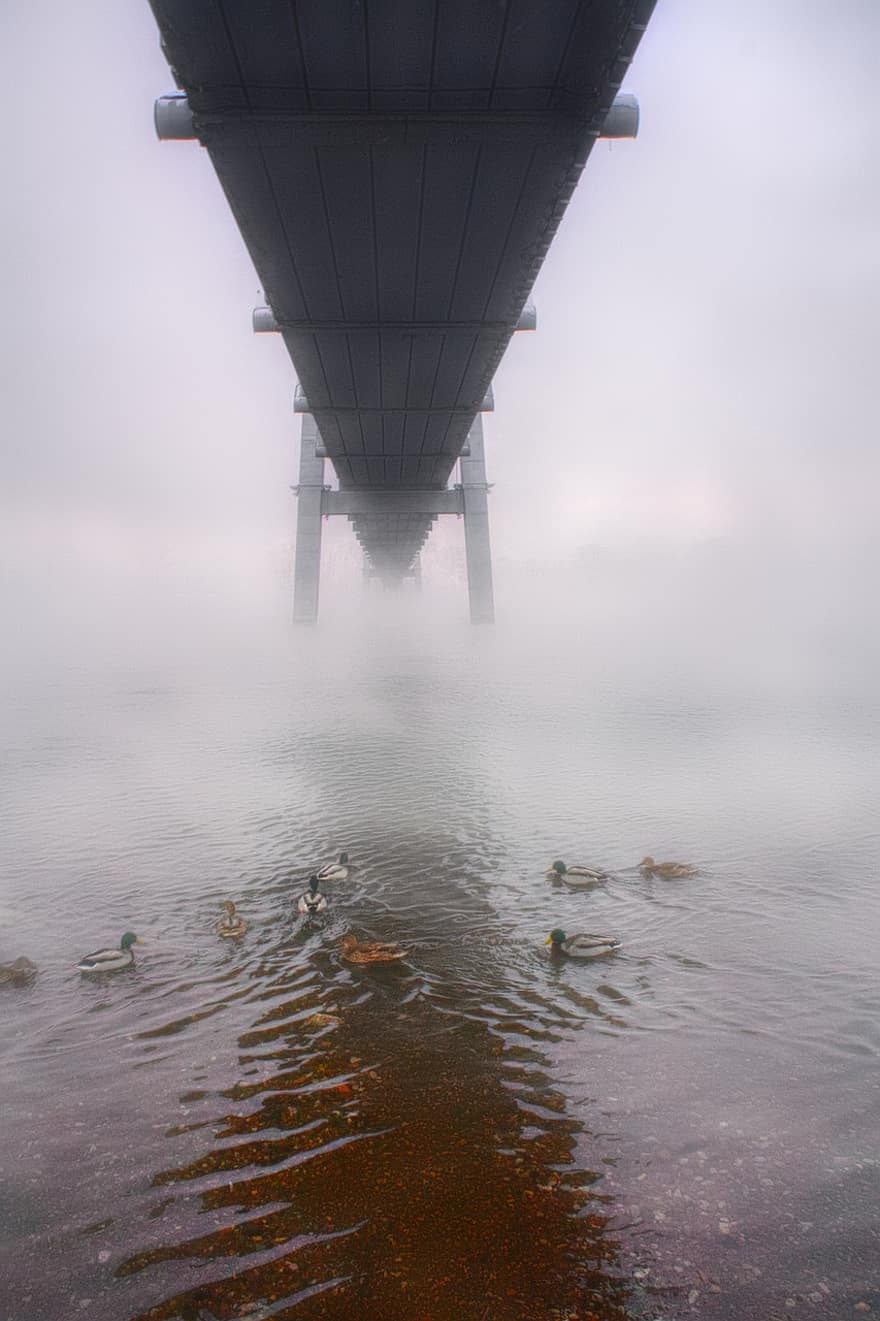 brouillard, pont, ville, Krasnoyarsk, rivière, eau, architecture, réflexion, paysage, bleu, humide