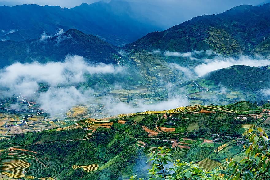 montanhas, vale, Campos, terraços, arroz, seda, nuvens, névoa, Visão