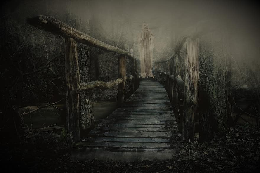 тунель, темрява, таємний, нервовий, світло, людини, панорама, туман, тінь, дерево, ліс