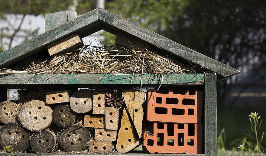 Insect Hotel, Wood, Nature, Bug Hotel, Insect House, Structure, construction industry, roof, architecture, brick, building exterior