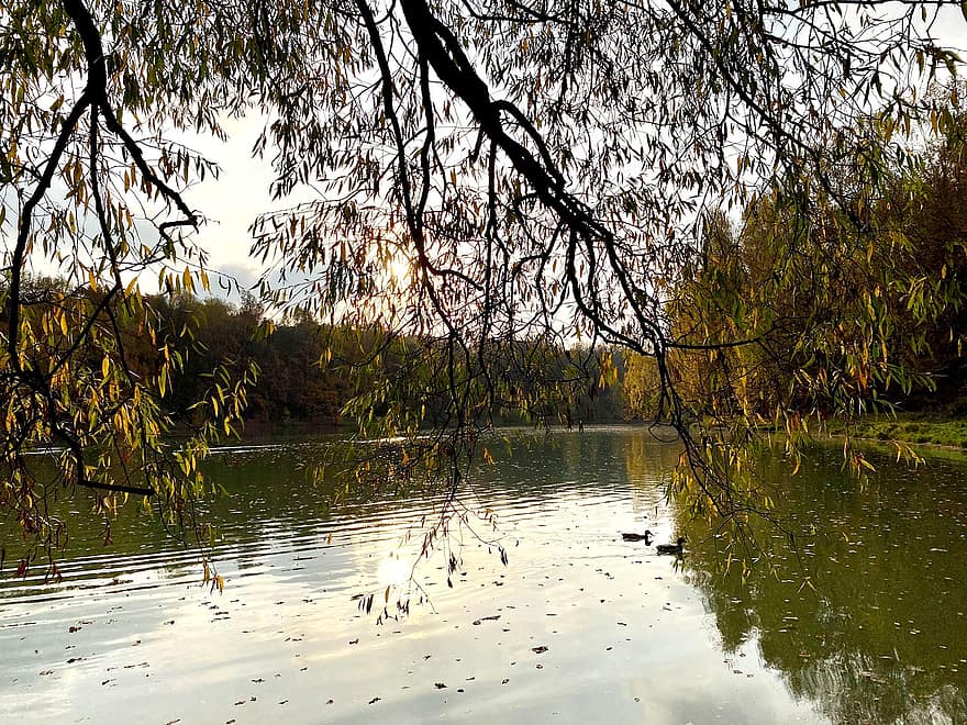 les, jezero, západ slunce, Příroda, podzim