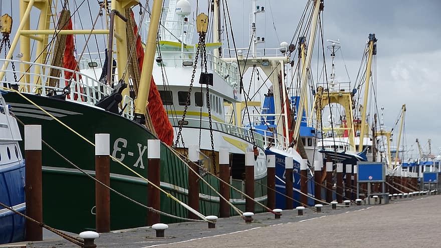 船、釣り船、港、ドック、ボート、オランダ、テクセル、航海船、商業ドック、交通手段、運送