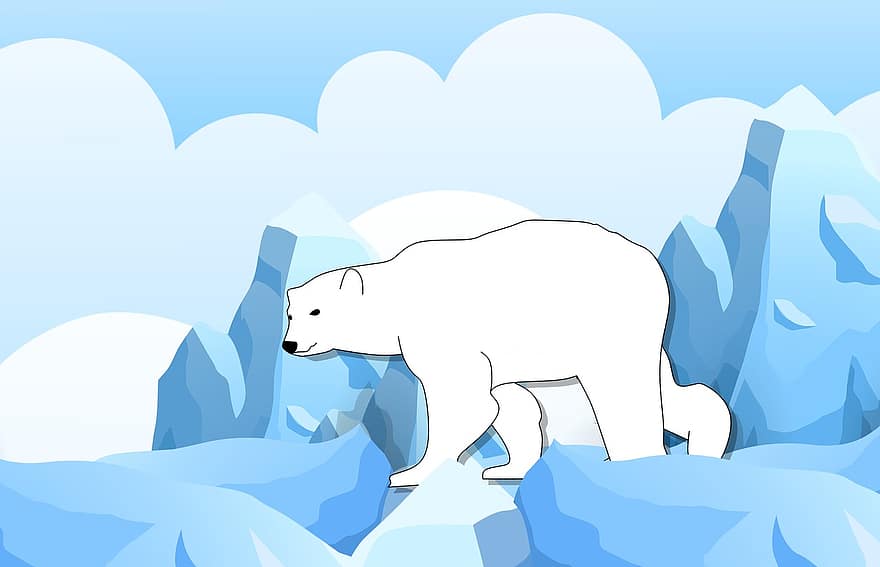 Bear, Polar, Antarctica, Ice, Animal, Sea, Cartoon, Blue, Wildlife, Mammal, Life