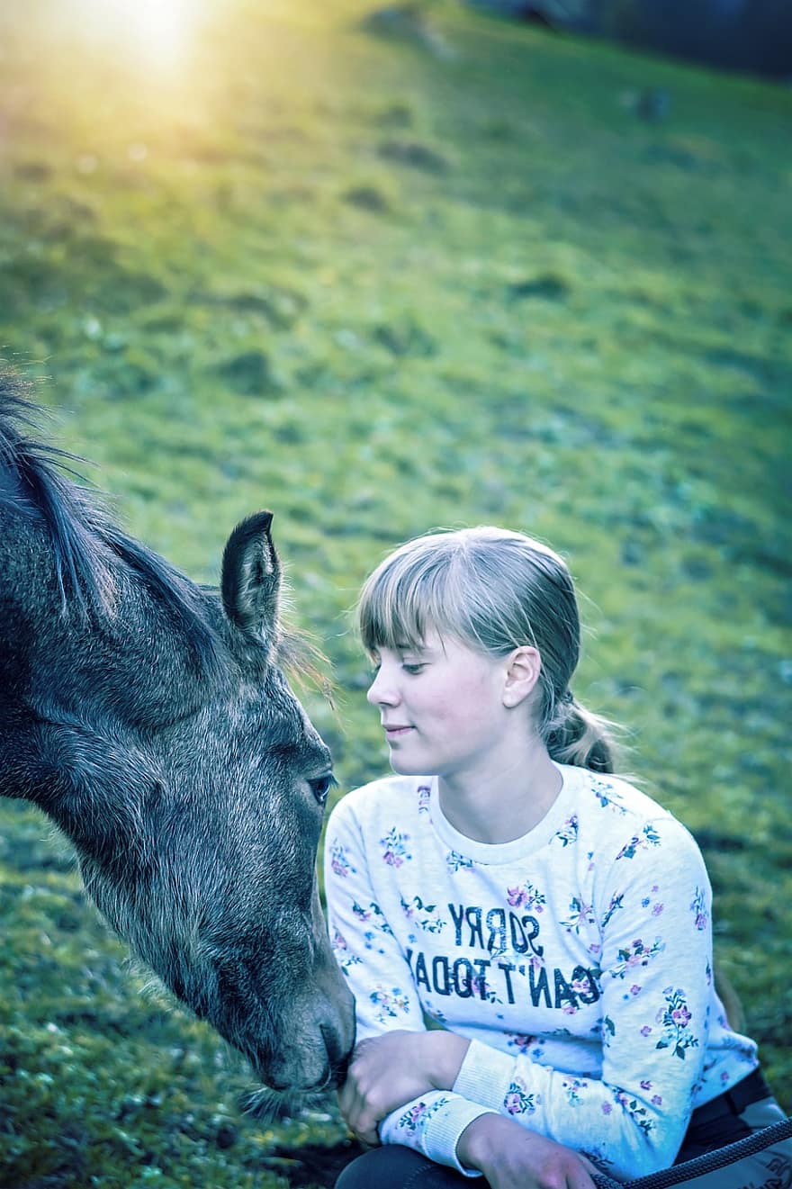 fată, mânz, cal, ponei, tânăr animal, luncă, păşune, copil, încredere, conexiune, prieteni