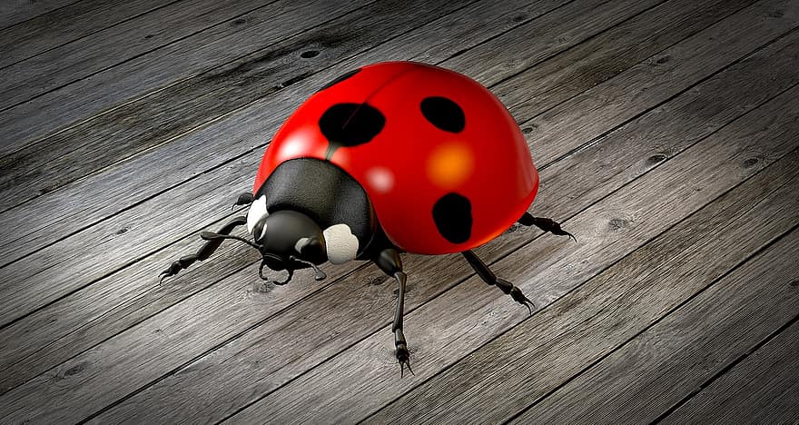 Ladybug, Beetle, Lucky Charm, Nature, Insect, 3d, Rendering, Occlusion, Raydiosity, Animation, Graphic