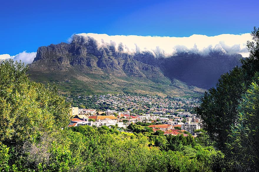 Montagne, des arbres, Maisons, pente, Le Cap, table montagne, nuage, ciel, massif rocheux, paysage, Afrique du Sud