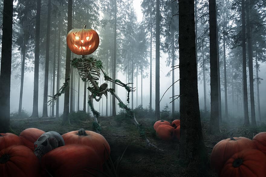 Хэллоуин, скелет, тыква, лес, туман, фантастика, фильм ужасов, страшно, жуткий, жутко