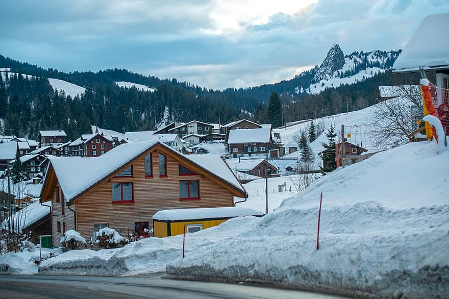 Svizzera, cittadina, villaggio, inverno, la neve, stagione, montagna, paesaggio, foresta, Cottage, ghiaccio