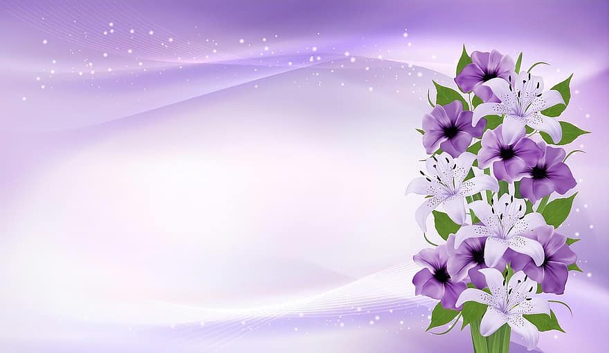lykønskningskort, baggrund, liljer, blomster, lilla blomster, hilsen, violet, fødselsdagskort, Mors Dag, baggrunde, blomst