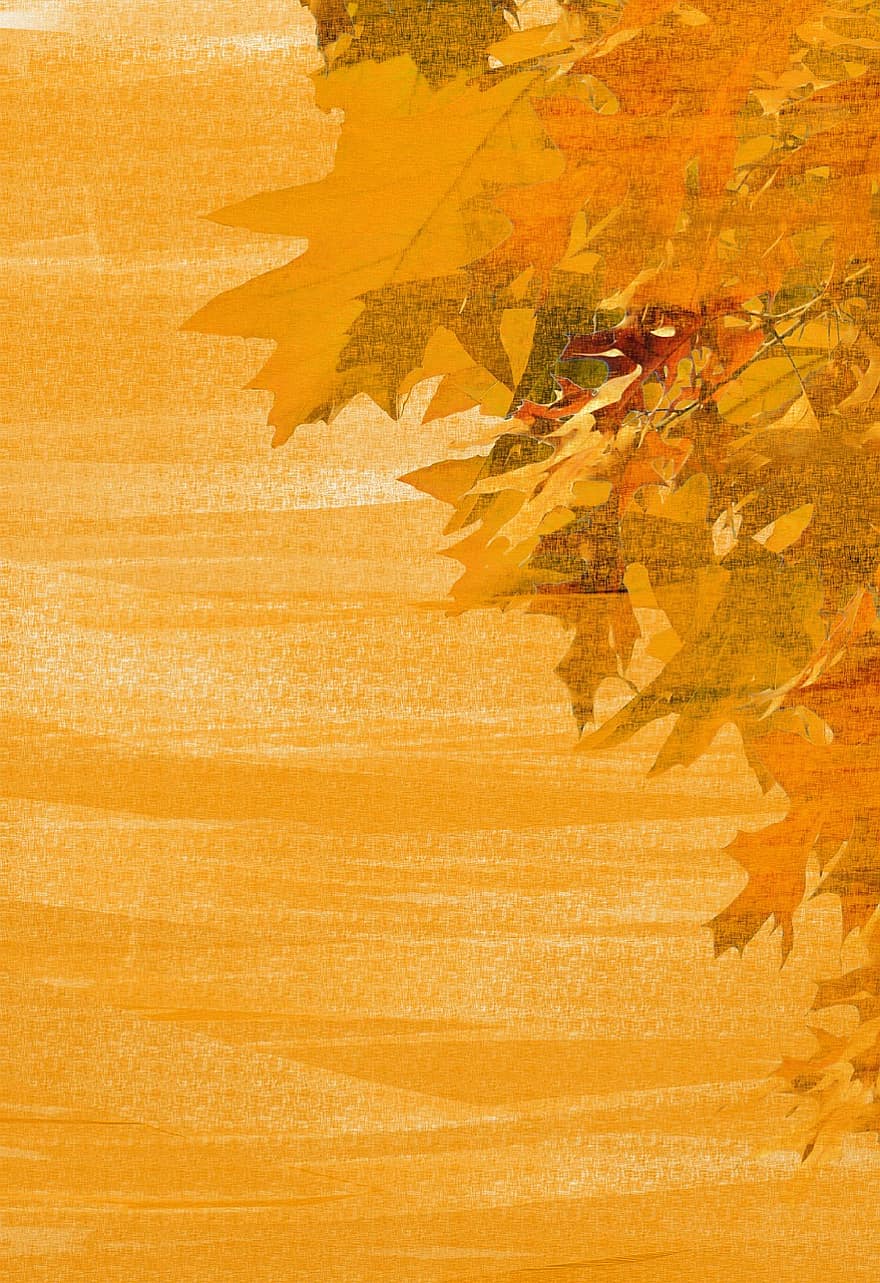 rudenī, krāsains, parādās, rudens krāsas, kancelejas preces, karte, kupons, lapas, ozola lapas, ozols, gaišs