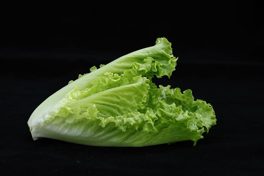 Vegetable, Lettuce, Romaine Lettuce, Lettuce Leaves, Salad, Food, Healthy, Harvest, Produce, Organic, Fresh