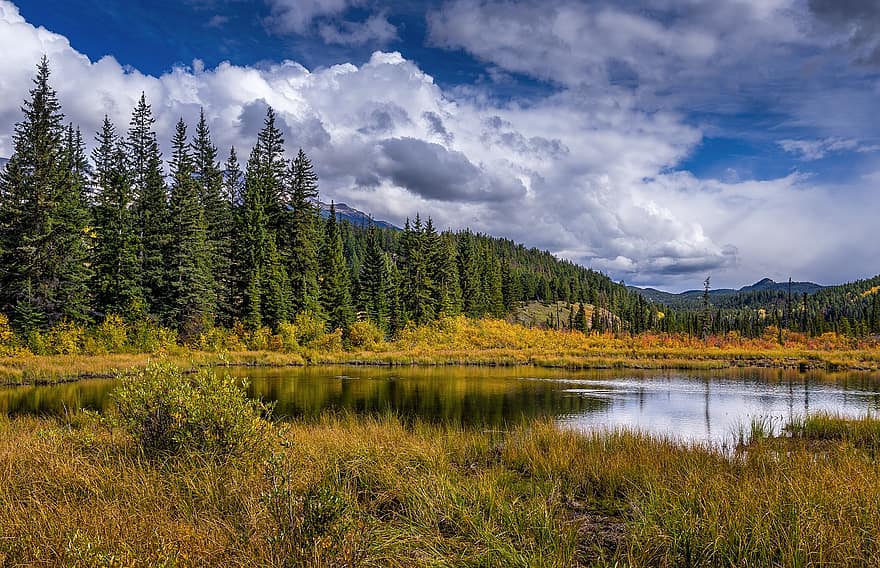 Lake, Trees, Forest, Bush, Grass, Bank, Clouds, National Park, Canada, Jasper, Rocky Mountain