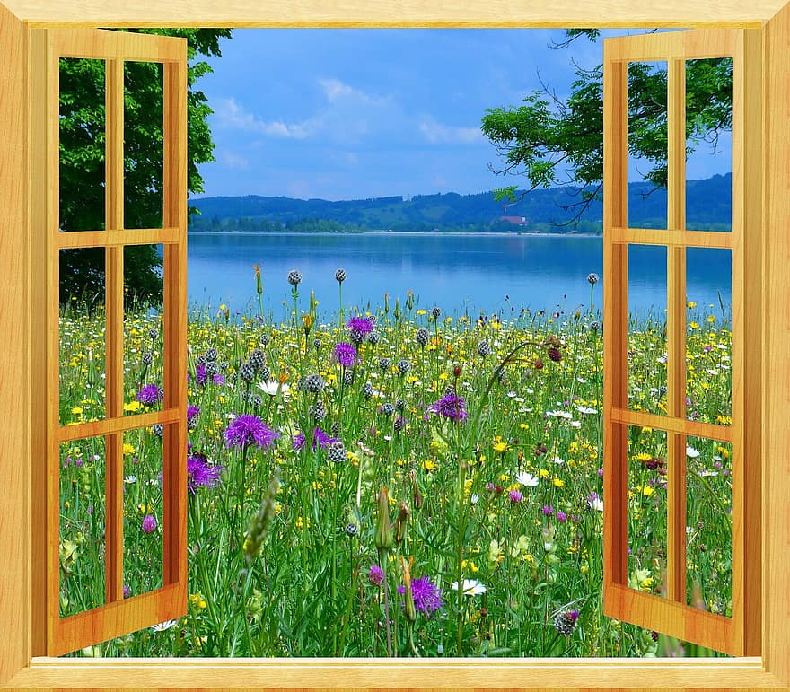 cửa sổ, Thiên nhiên, đồng cỏ, mùa hè, hồ nước, phong cảnh