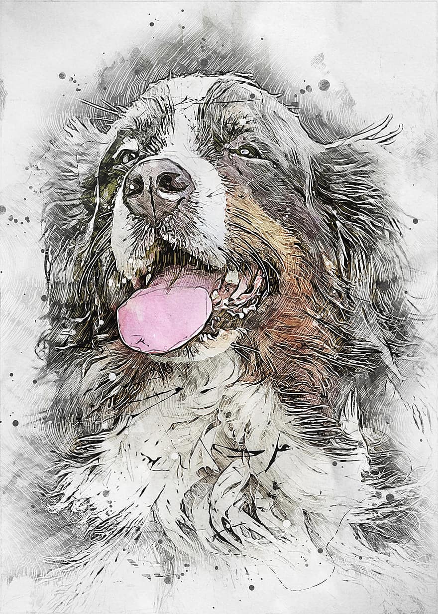 バーニーズマウンテンドッグ、犬、図、アートワーク、犬歯、肖像画、純血種、ペット、犬の絵