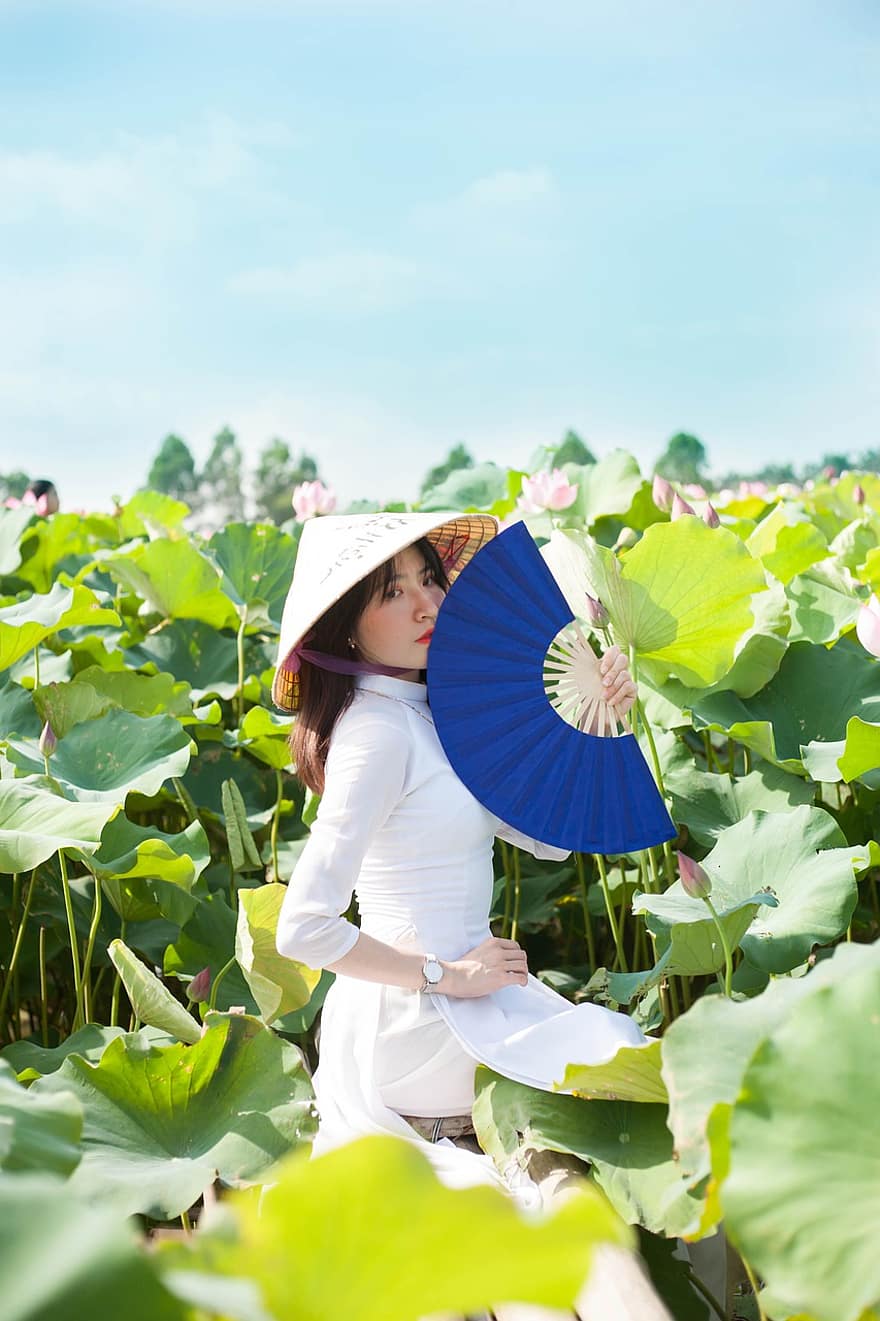 lotus, dona, dona guapa, bonica dona, fulles, plantes, verd, retrat, a l'aire lliure, vietnamita, barret de fulla