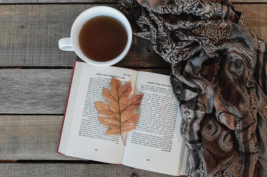 livro, folha, outono, café, copo, bebida, página, ler, abra o livro, cachecol, folha de outono