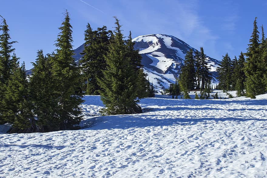 снег, гора, деревья, зима, Орегон, пейзаж, природа, лес, синий, горная вершина, дерево
