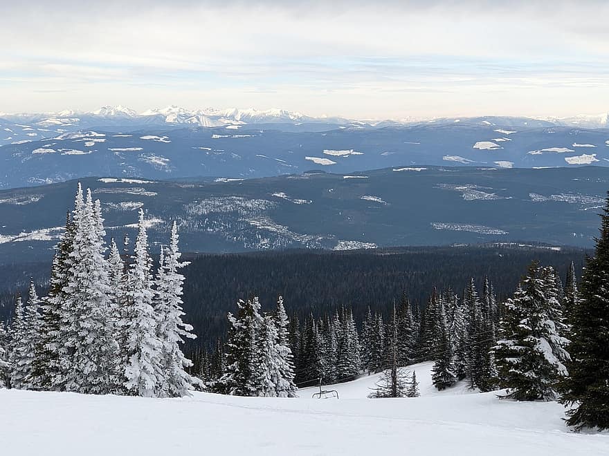 kış, doğa, sezon, ağaçlar, açık havada, manzara, seyahat, kar, keşif, gökyüzü, kayak yapma