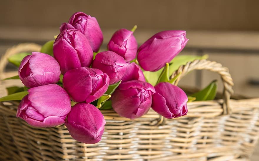 チューリップ、フラワーズ、バスケット、束、咲く、花、紫色の花、春、切り花、工場、花束
