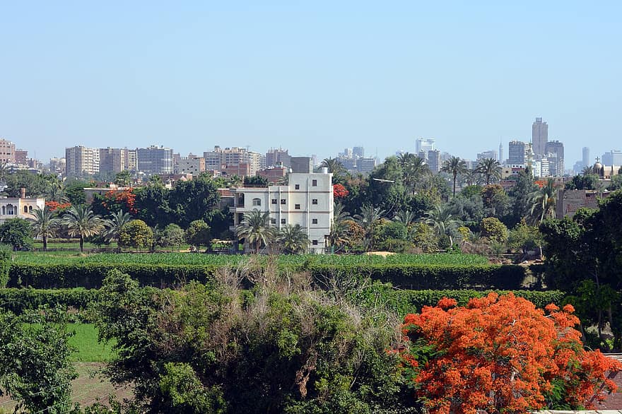 El Cairo, río, Isla Dahab, ciudad, paisaje urbano, Egipto, paisaje