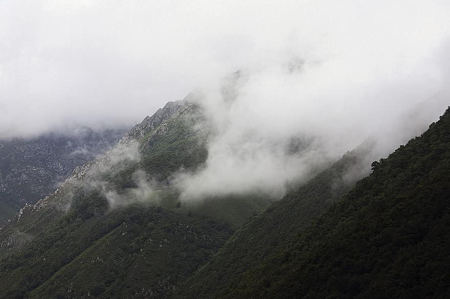 βουνά, τοπίο, ομίχλη, σύννεφα, φύση, κλίση, βουνό, κορυφή βουνού, δάσος, οροσειρά, σύννεφο