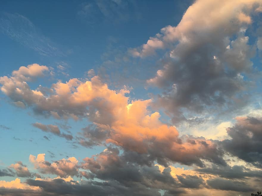 Sky, Clouds, Cumulus, Cumulus Clouds, Cloudy, Cloudy Sky, Cloudscape, Skyscape, Meteorology, Atmosphere, Nature