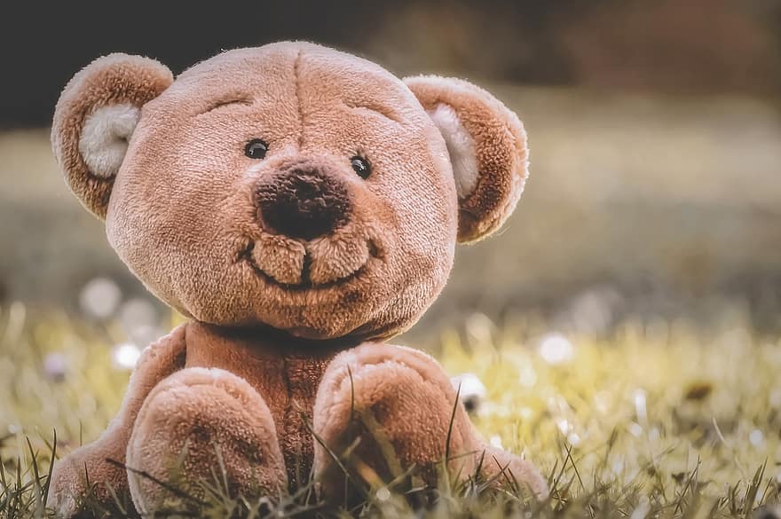 teddy, eng, mykt leketøy, Teddybjørn, søt, barn, leker, bjørner, Bjørn, kosedyr, plysj