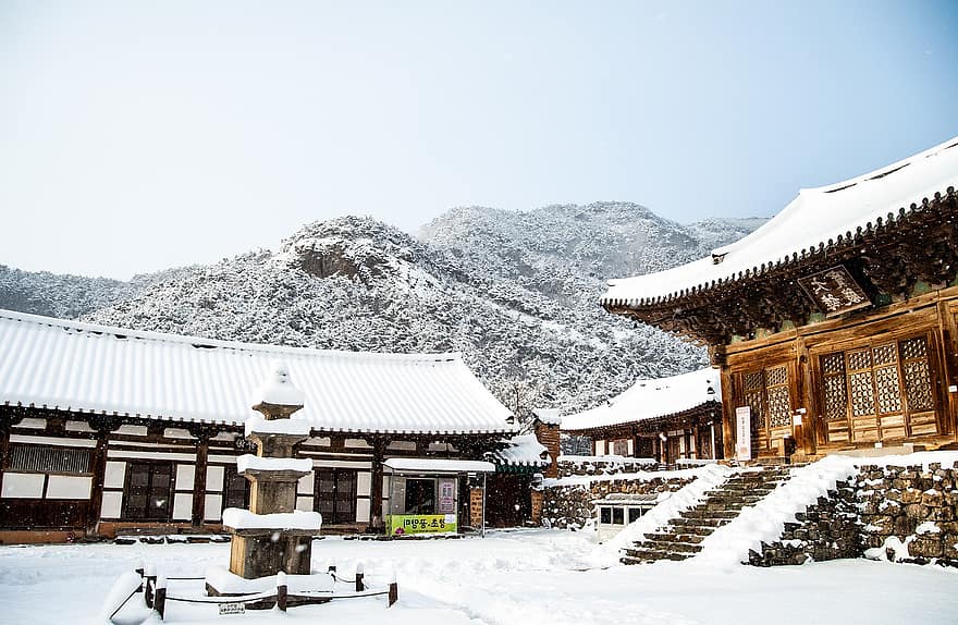 寺院、雪、木、冬、裸の木、霜、雪が多い、雪景色、冬景色、冷ややかな、なえそ寺