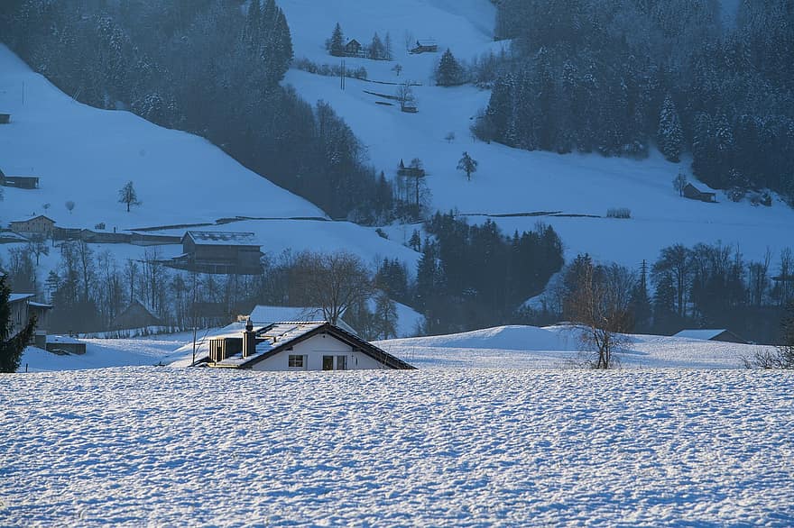 บ้าน, กระท่อม, หมู่บ้าน, หิมะ, ฤดูหนาว, ตอนเย็น, ประเทศสวิสเซอร์แลนด์, ภูเขา, ภูมิประเทศ, ฤดู, ป่า