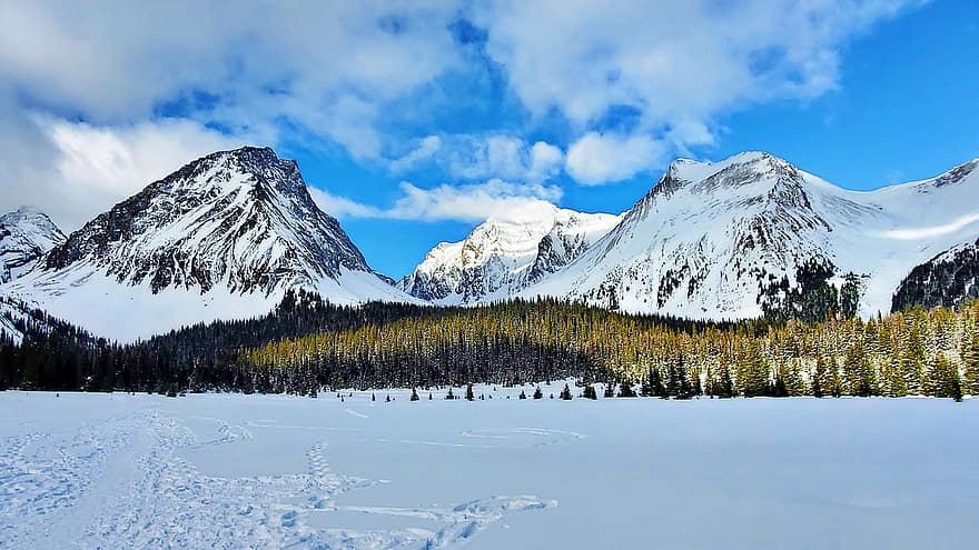 természet, téli, hegyek, hó, erdő, fák, túra, Kananaskisban, Alberta