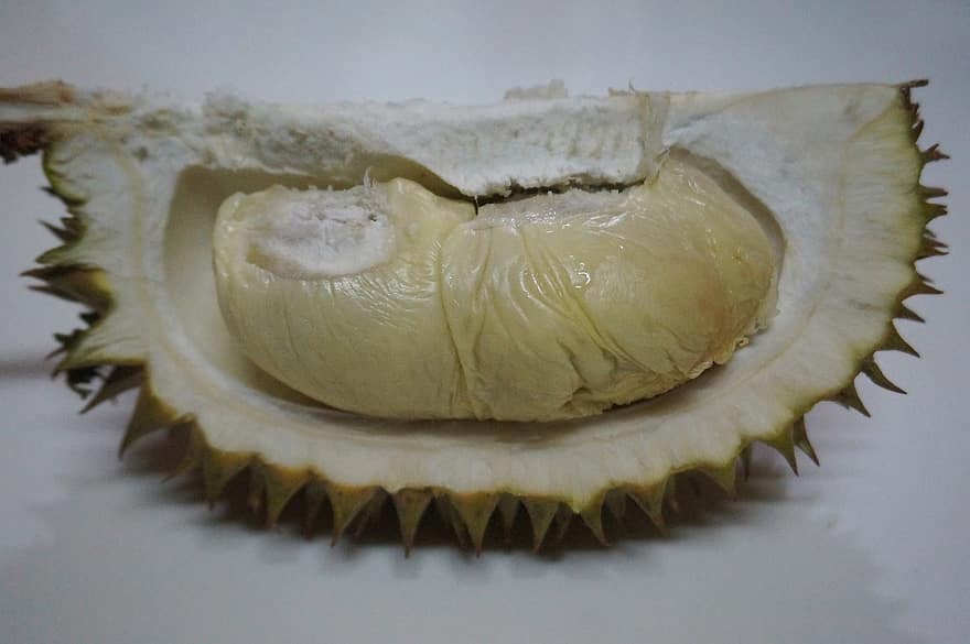 durian, καρπός, φρούτα, φαγητό, φρέσκο, υγιής, ώριμος, οργανικός, γλυκός, παράγω, συγκομιδή