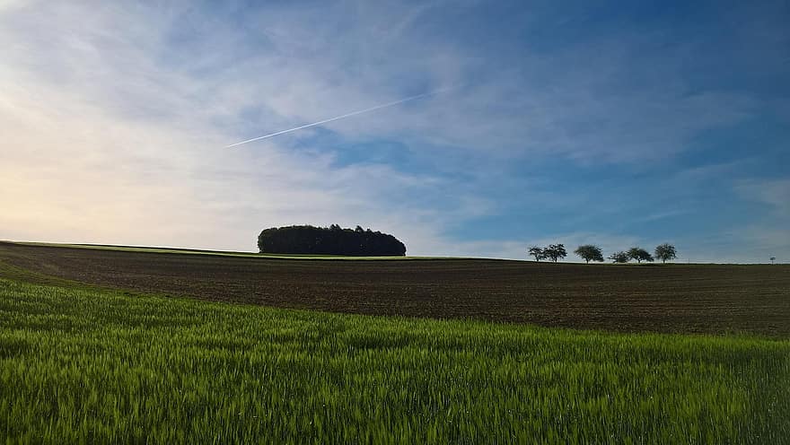 поле, пейзаж, Вестервалд, горичка, ливада, селски, обработваема, селско стопанство, природа, небе, облаци