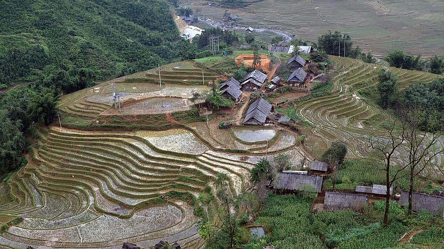 베트남, 농촌 들, 풍경, 경치