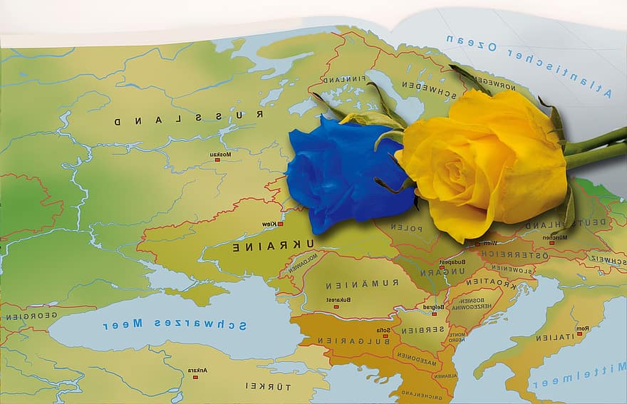 Hartă, trandafiri, Ucraina, floare, culorile naționale, Europa, hartă a Europei, solidaritate, comunitate, coeziune, Criza din Ucraina