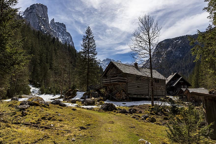 montañas, Alpes, cabaña de madera, alm, Austria, paisaje, bosque
