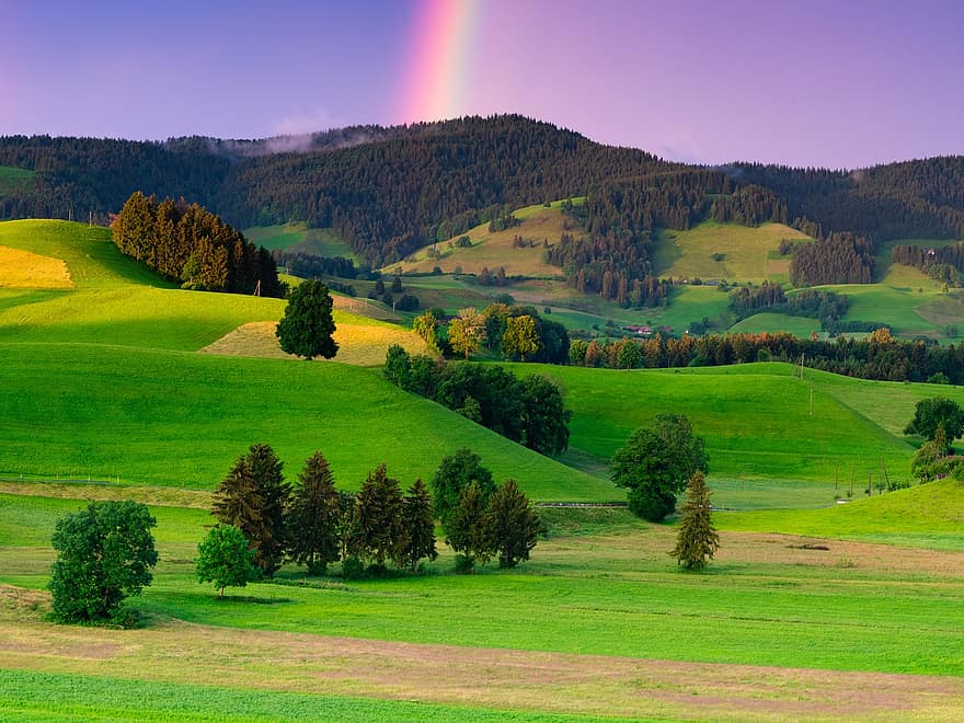 虹、気分、自然、風景、天気