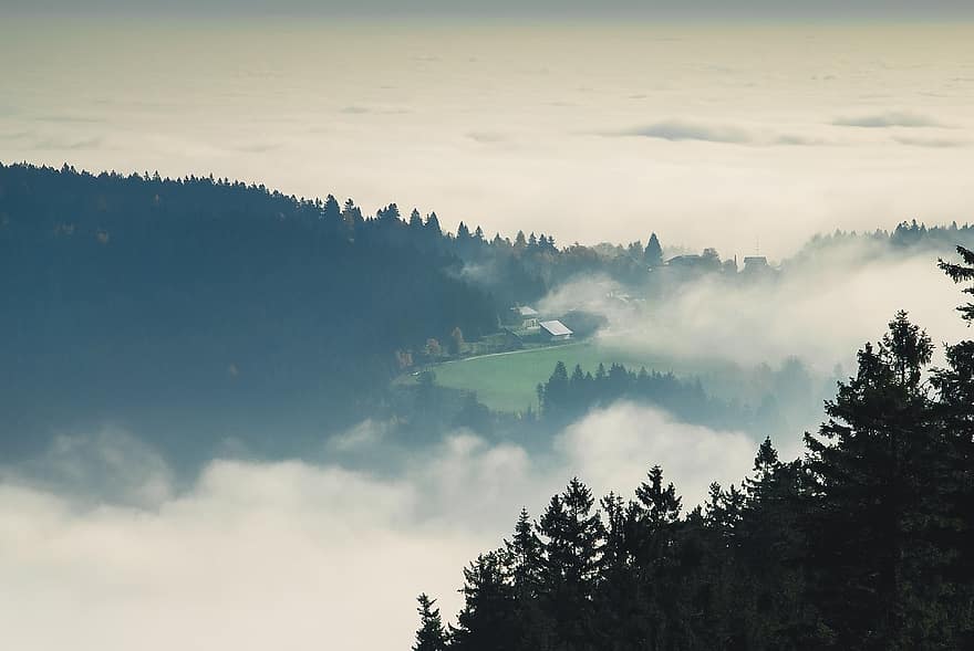 colline, brouillard, forêt, la nature, humeur matinale, des nuages, arbre, paysage, scène rurale, Montagne, Prairie