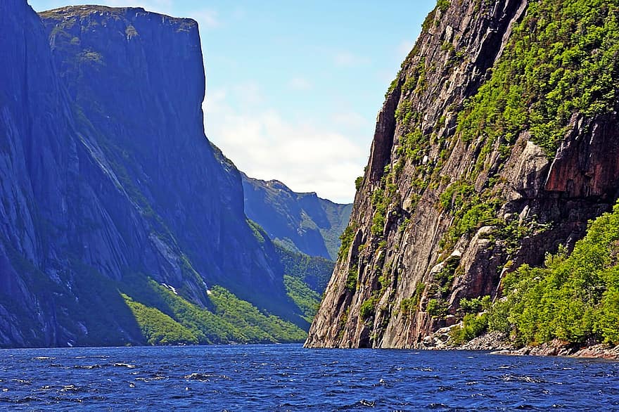 bjerge, Gros Morne Nationalpark, Newfoundland, Phyord, bjerg, vand, landskab, klint, sommer, klippe, blå