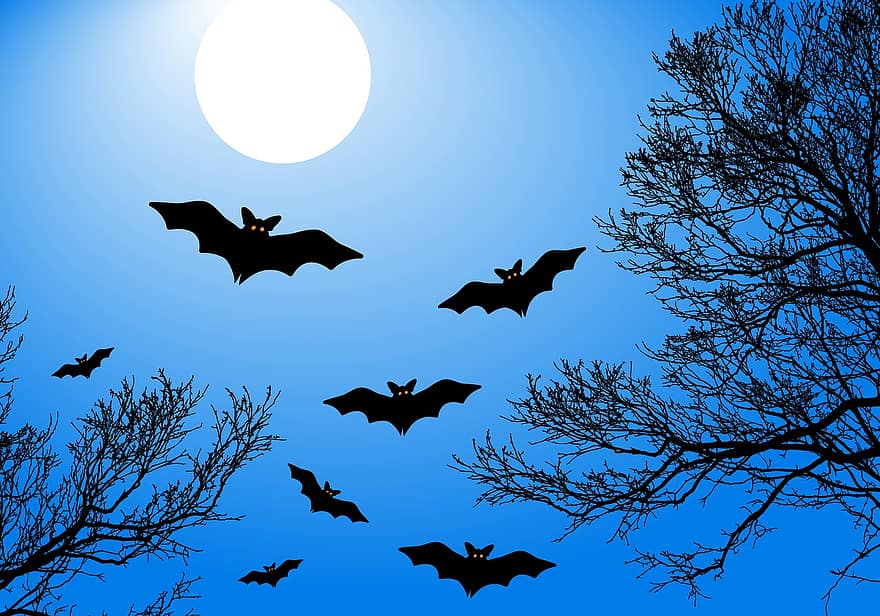 летучие мыши, Луна, Хэллоуин, полнолуние, свет луны, деревья, леса, полночь