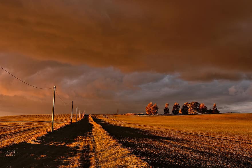 Felder, Bauernhof, Wiese, Landschaft, Horizont, Wolken, Sonnenuntergang, Dämmerung, Weg, Stromleitungen, ländlich