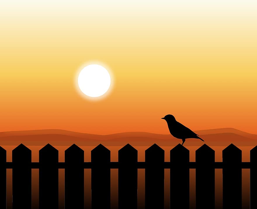 posta de sol, ocell, tanca, sol, paisatge