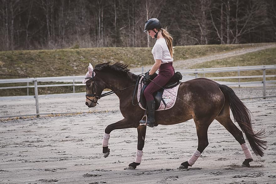 Horseback Riding, Horse, Girl, Gallop, Pony, Riding Pony, Saddle Horse, Riding Horse, Brown Horse, Animal, Equine