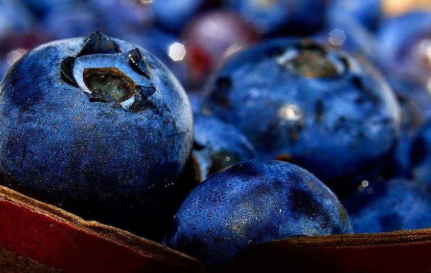 Blueberries, Fruits, Berries, Food, Fresh, Healthy, Ripe, Organic, Sweet, Produce, Green Grapes