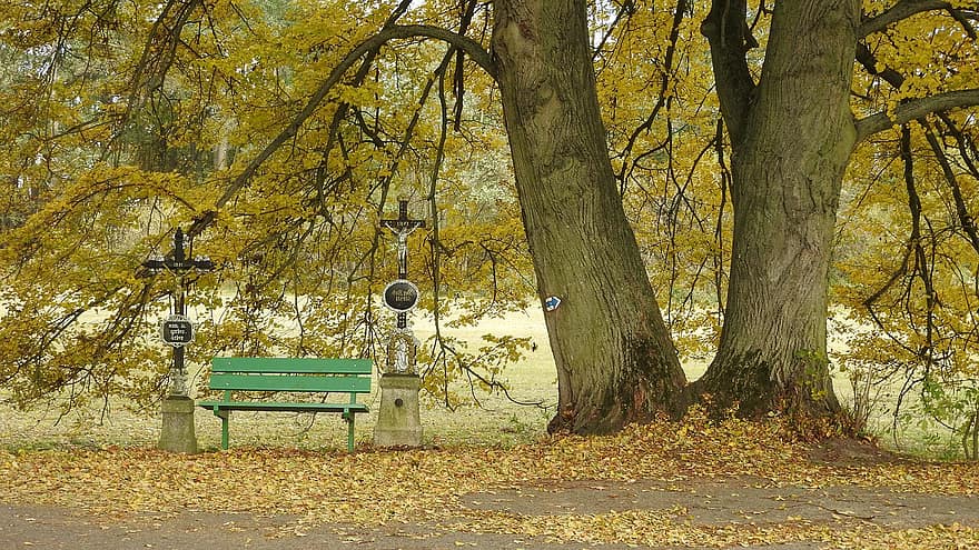 пейка, дървета, парк, есен, есенен пейзаж, кръст, Спри се, Почивка, тих, жълт, дърво