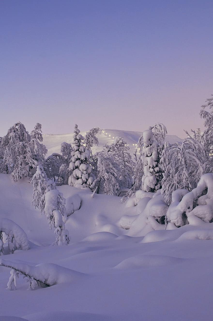 vinter, natur, sæson, sne, Skov, landskab, træ, bjerg, frost, is, blå